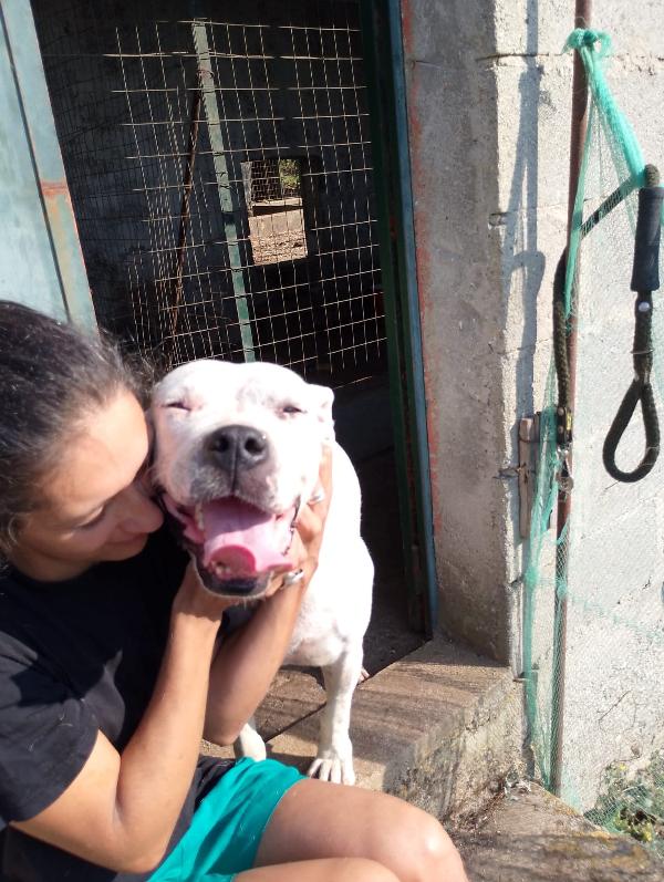 💔 OPI: Una vita in attesa di amore 💔 Foto 8